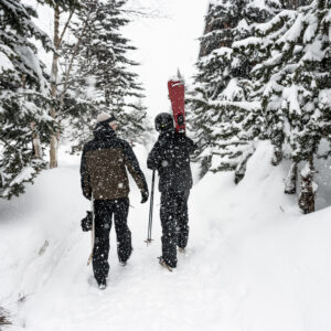 How to do a ski season in France with Consensio