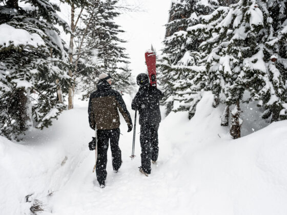 How to do a ski season in France with Consensio